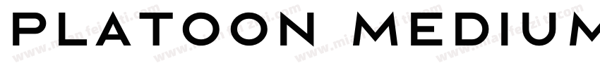 Platoon Medium字体转换